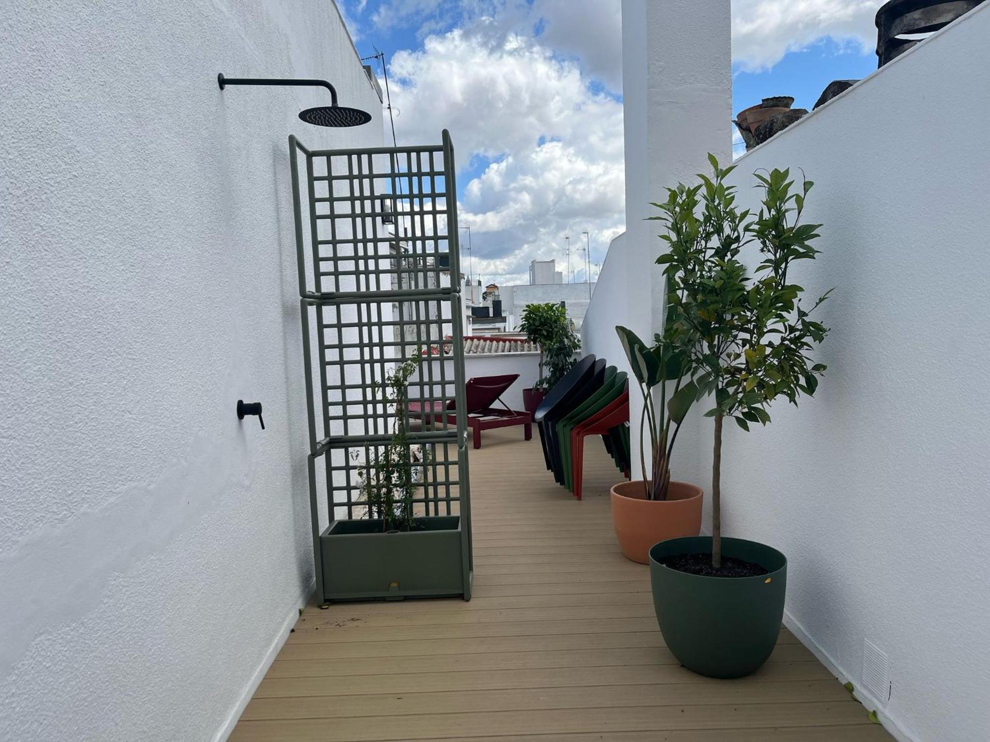 Galera Donkey Terraza Privada Lejlighed Sevilla Eksteriør billede