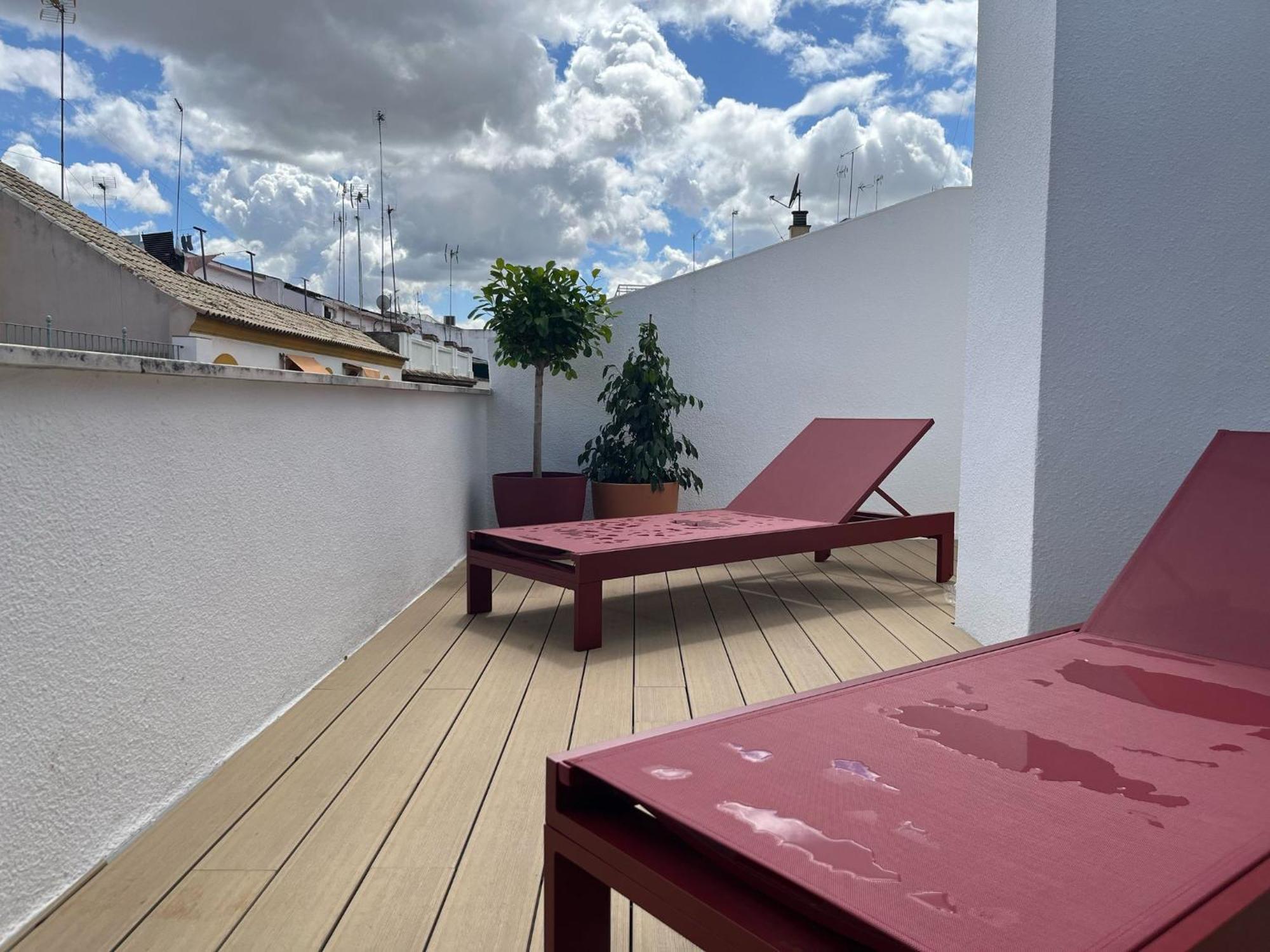 Galera Donkey Terraza Privada Lejlighed Sevilla Eksteriør billede